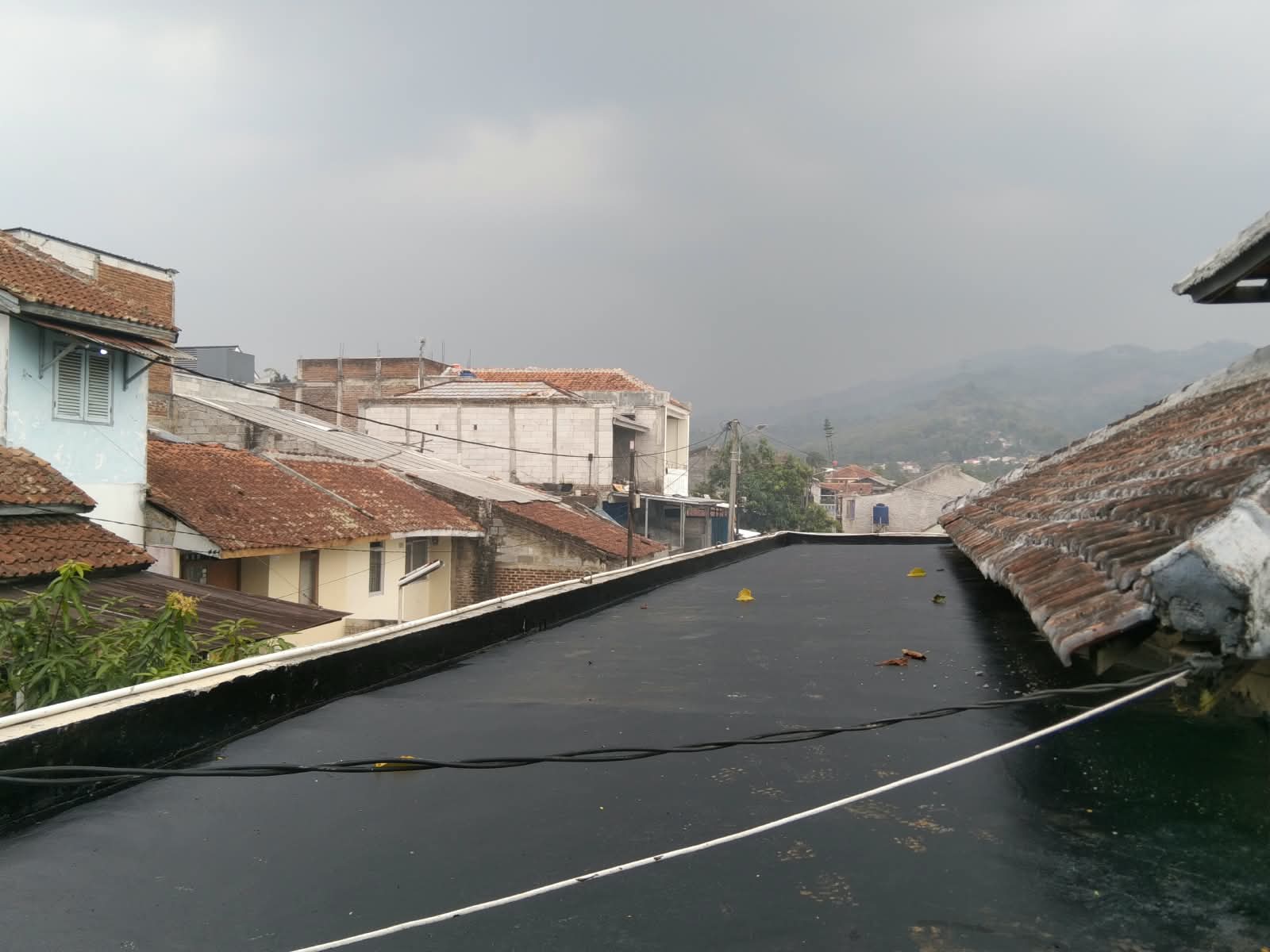 Foto Galeri