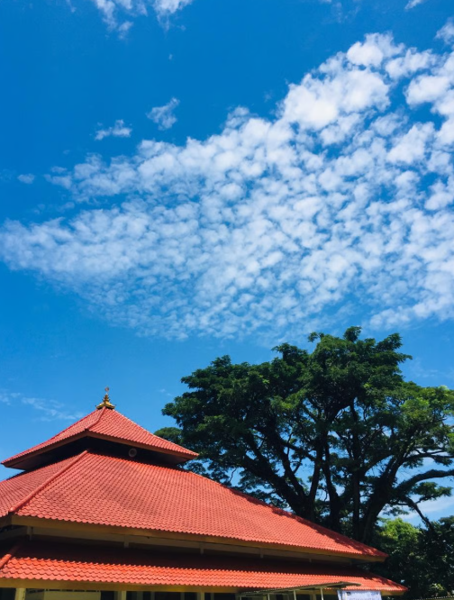 Foto Galeri
